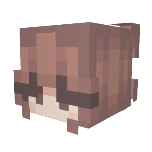 eviki Minecraft avatar head, 3D render