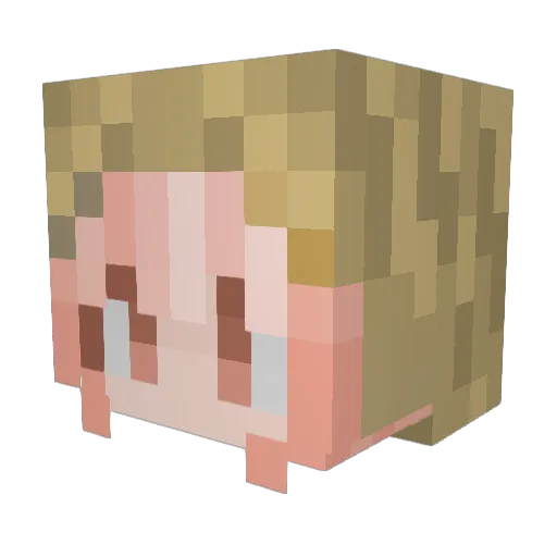 evil_cheeseburgr Minecraft avatar head, 3D render