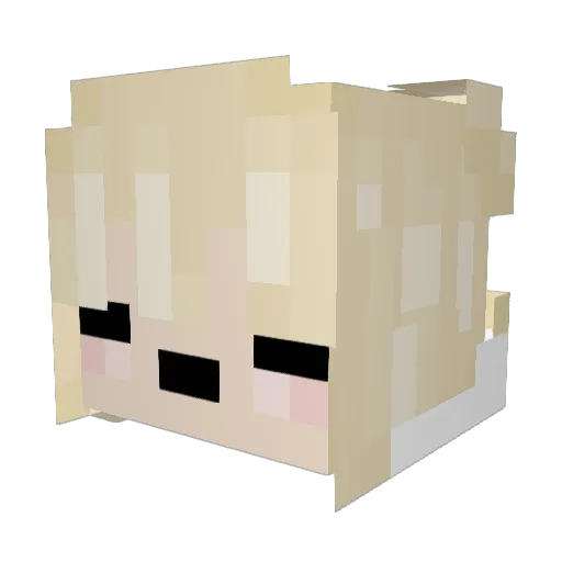 evil_fishtank Minecraft avatar head, 3D render