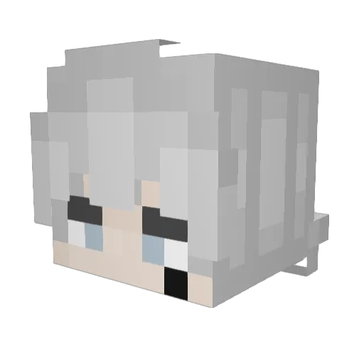 evil_mollusk Minecraft avatar head, 3D render
