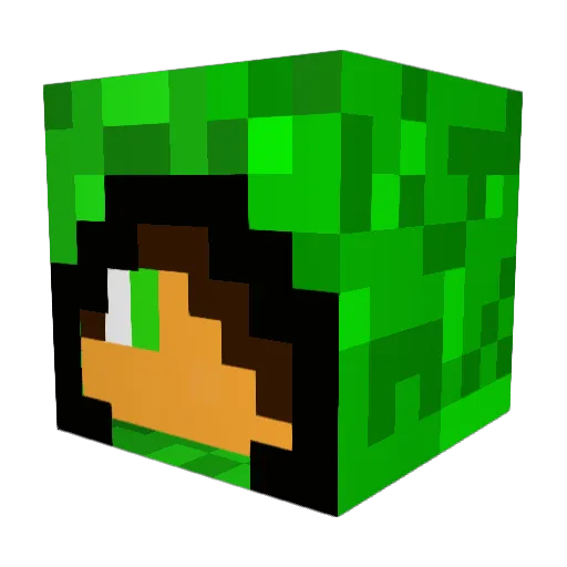 evilcat2003 Minecraft avatar head, 3D render