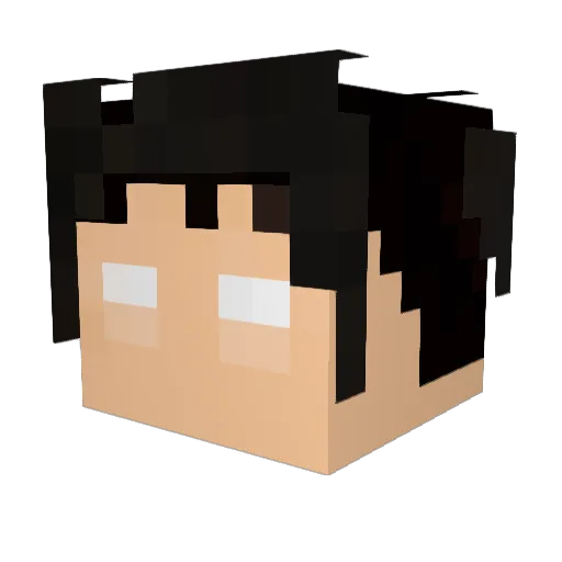 evilcolls Minecraft avatar head, 3D render