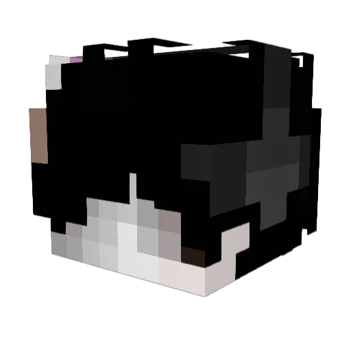 evildesire Minecraft avatar head, 3D render