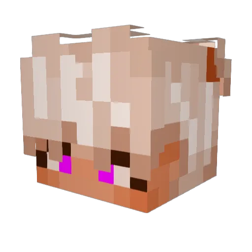 evilfarmin Minecraft avatar head, 3D render