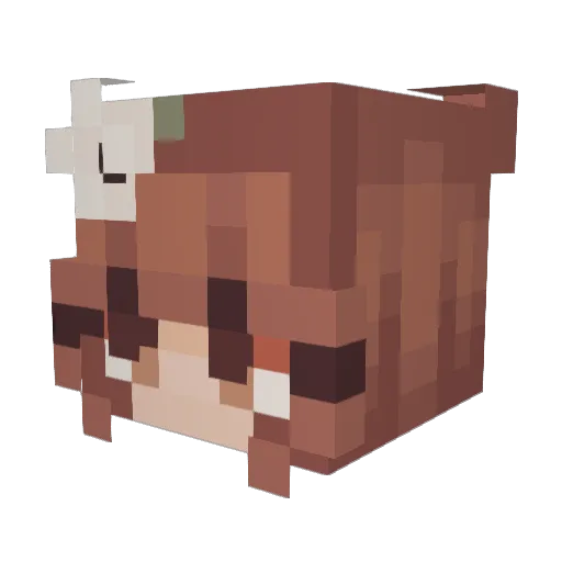 eviljane Minecraft avatar head, 3D render
