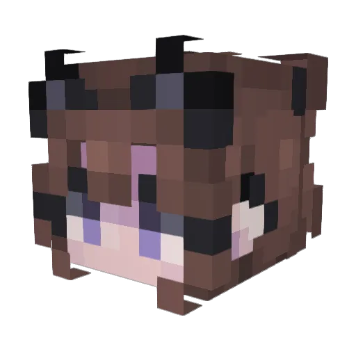 evilkity Minecraft avatar head, 3D render