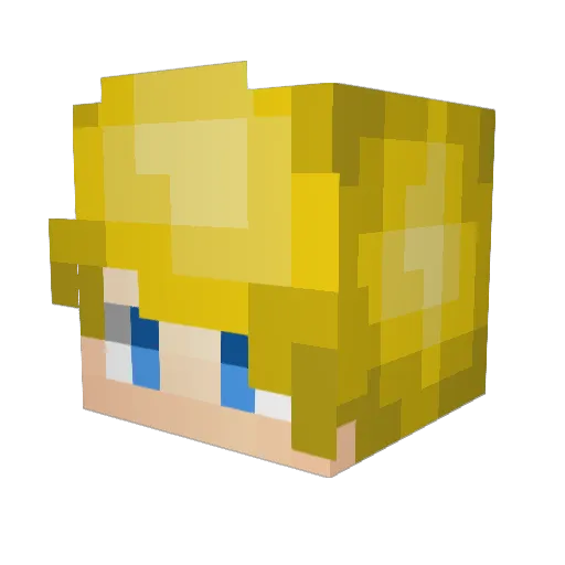 evilprogamer09 Minecraft avatar head, 3D render