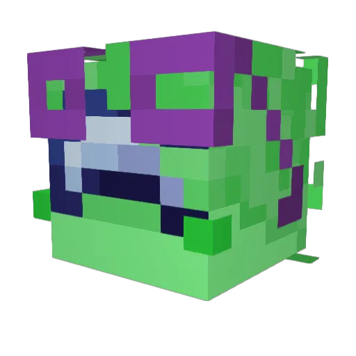 evilraindrop991 Minecraft avatar head, 3D render