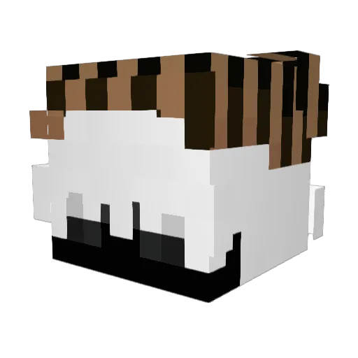 evilsleep1e Minecraft avatar head, 3D render