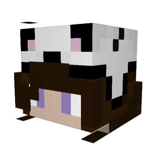 evilsnuggler Minecraft avatar head, 3D render