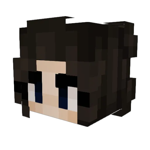 evisa2411 Minecraft avatar head, 3D render