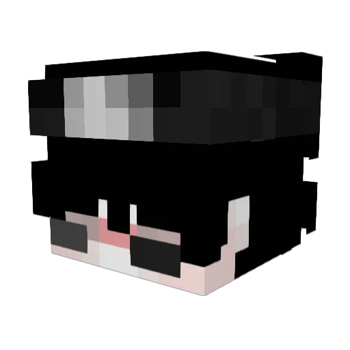 evlin2004 Minecraft avatar head, 3D render