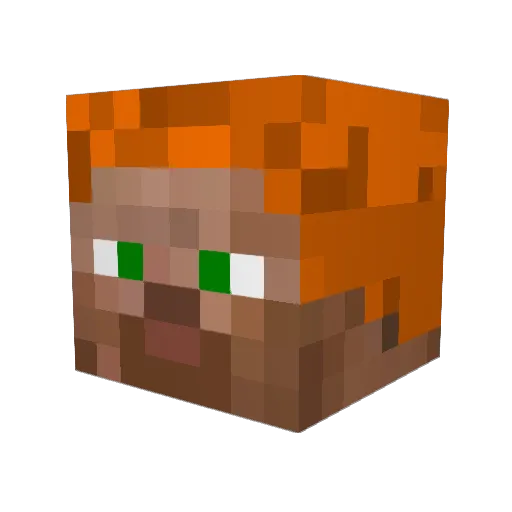 evolnett Minecraft avatar head, 3D render