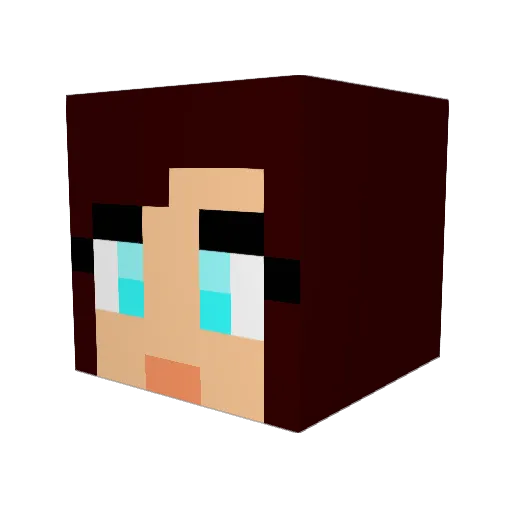 evoltink Minecraft avatar head, 3D render