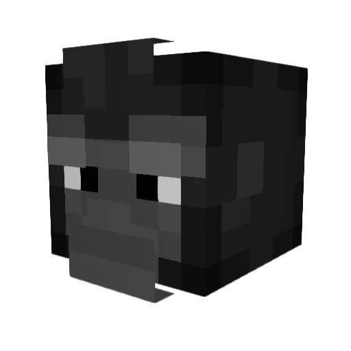 evonn31 Minecraft avatar head, 3D render