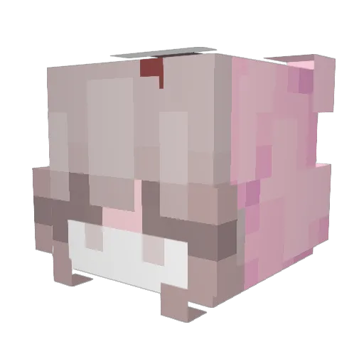 evoqra Minecraft avatar head, 3D render