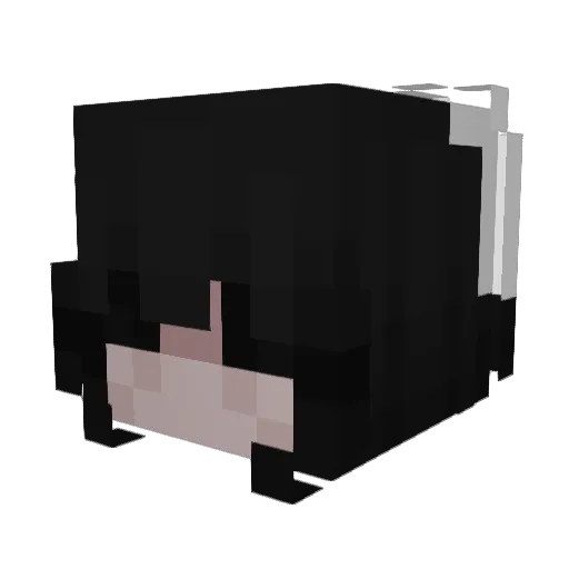 evphorics Minecraft avatar head, 3D render