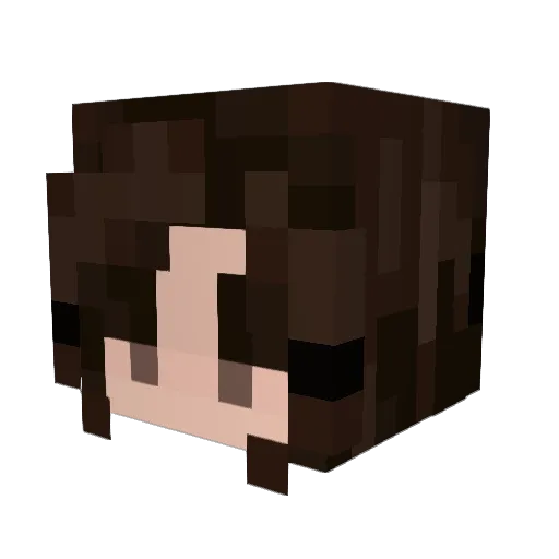 evrlast Minecraft avatar head, 3D render