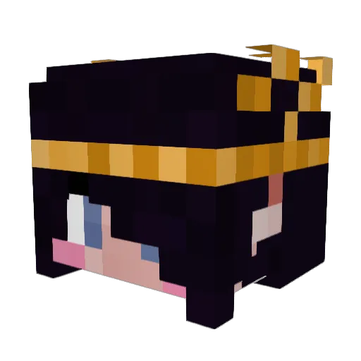 evrst404 Minecraft avatar head, 3D render