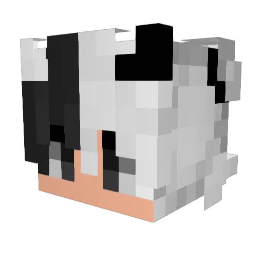 evsho Minecraft avatar head, 3D render