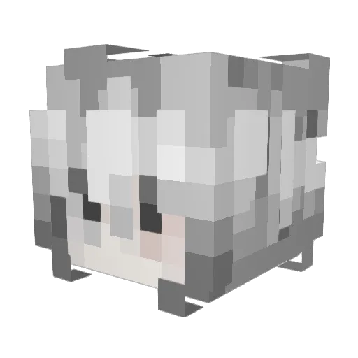 evuri1 Minecraft avatar head, 3D render