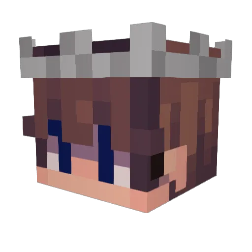 evv_xe Minecraft avatar head, 3D render