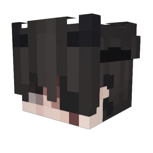 evvx Minecraft avatar head, 3D render