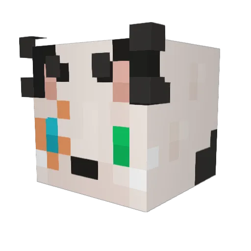 ewamarchewa8231 Minecraft avatar head, 3D render