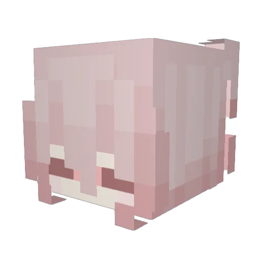 ewanswm Minecraft avatar head, 3D render