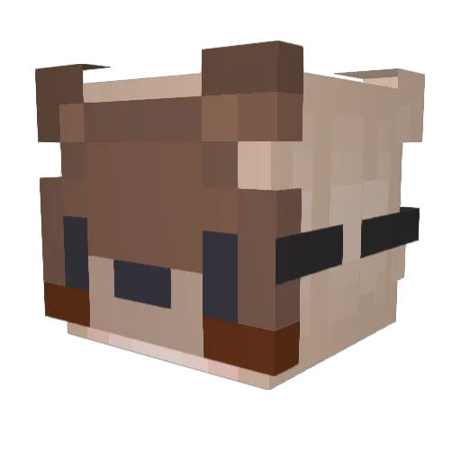 ewfruitpunch Minecraft avatar head, 3D render