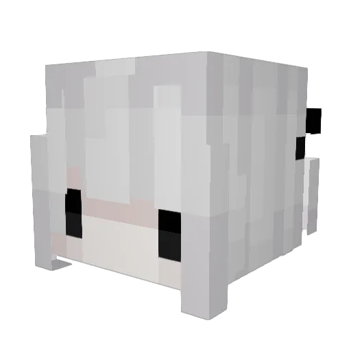 ewhie Minecraft avatar head, 3D render