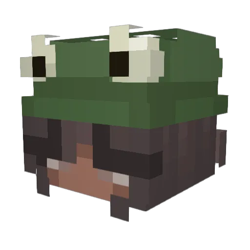 ewiesu Minecraft avatar head, 3D render