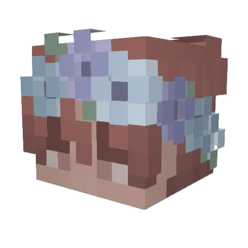 ewives Minecraft avatar head, 3D render