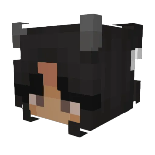 ewiza Minecraft avatar head, 3D render
