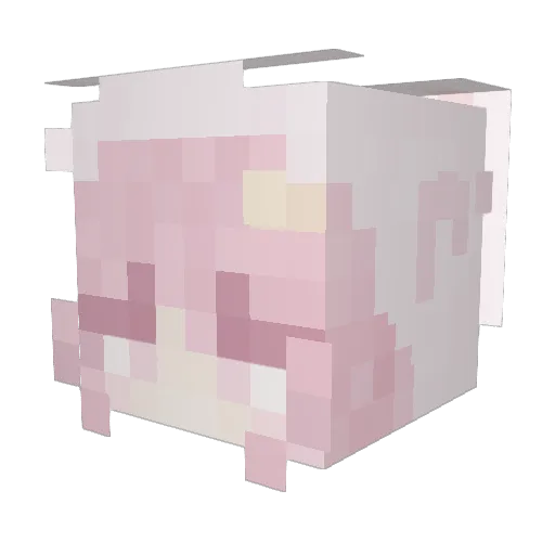 ewliay Minecraft avatar head, 3D render