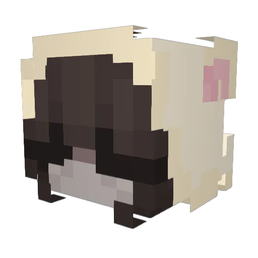 ewlla Minecraft avatar head, 3D render