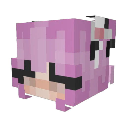 ewlyn Minecraft avatar head, 3D render
