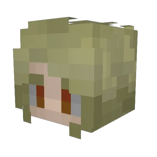 ewoknina Minecraft avatar head, 3D render