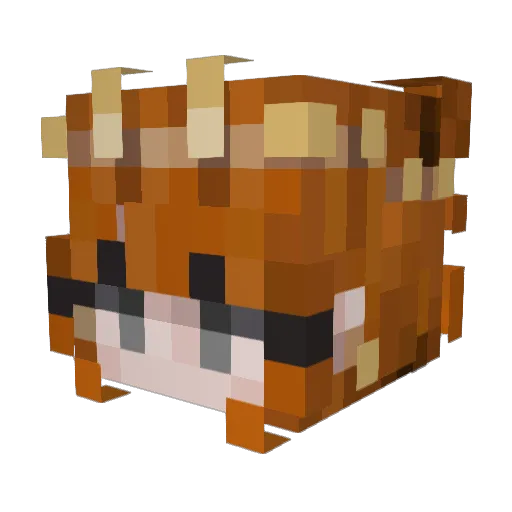 ewoku Minecraft avatar head, 3D render