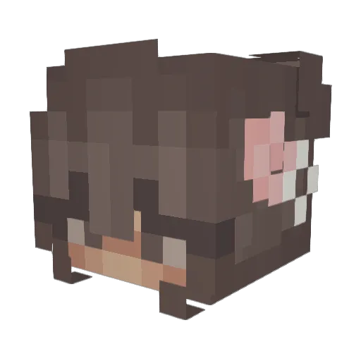 ewqz Minecraft avatar head, 3D render
