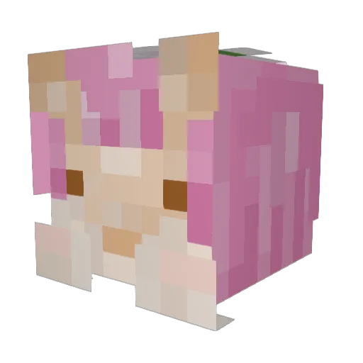 ewrooon Minecraft avatar head, 3D render