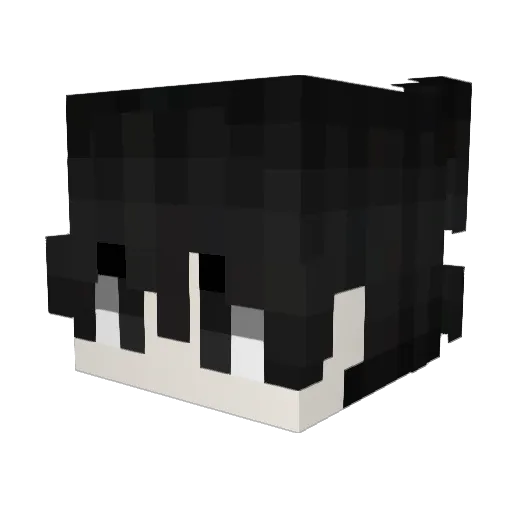 ewros Minecraft avatar head, 3D render