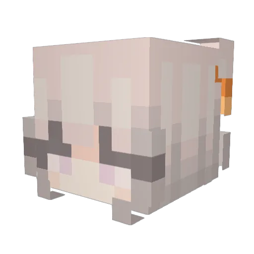 ewsgit Minecraft avatar head, 3D render