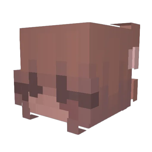 ewsoph Minecraft avatar head, 3D render