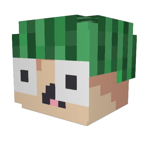 eww5 Minecraft avatar head, 3D render