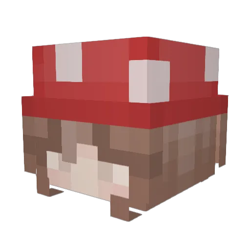 ewwiezz Minecraft avatar head, 3D render