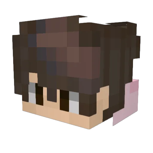 ex0Rift Minecraft avatar head, 3D render