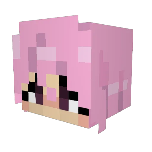 ex0_b0x Minecraft avatar head, 3D render