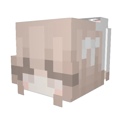 ex6tinct Minecraft avatar head, 3D render
