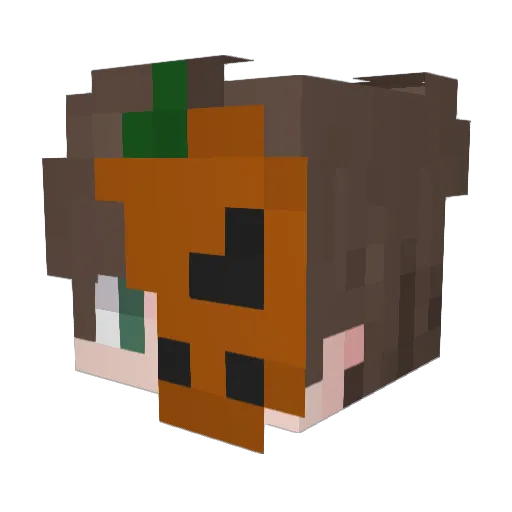exNado Minecraft avatar head, 3D render